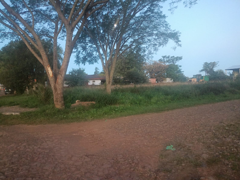 Terreno em São Borja